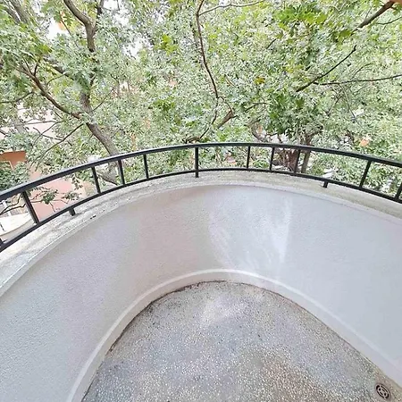 Wild Cherry * Saints Constantine and Helena